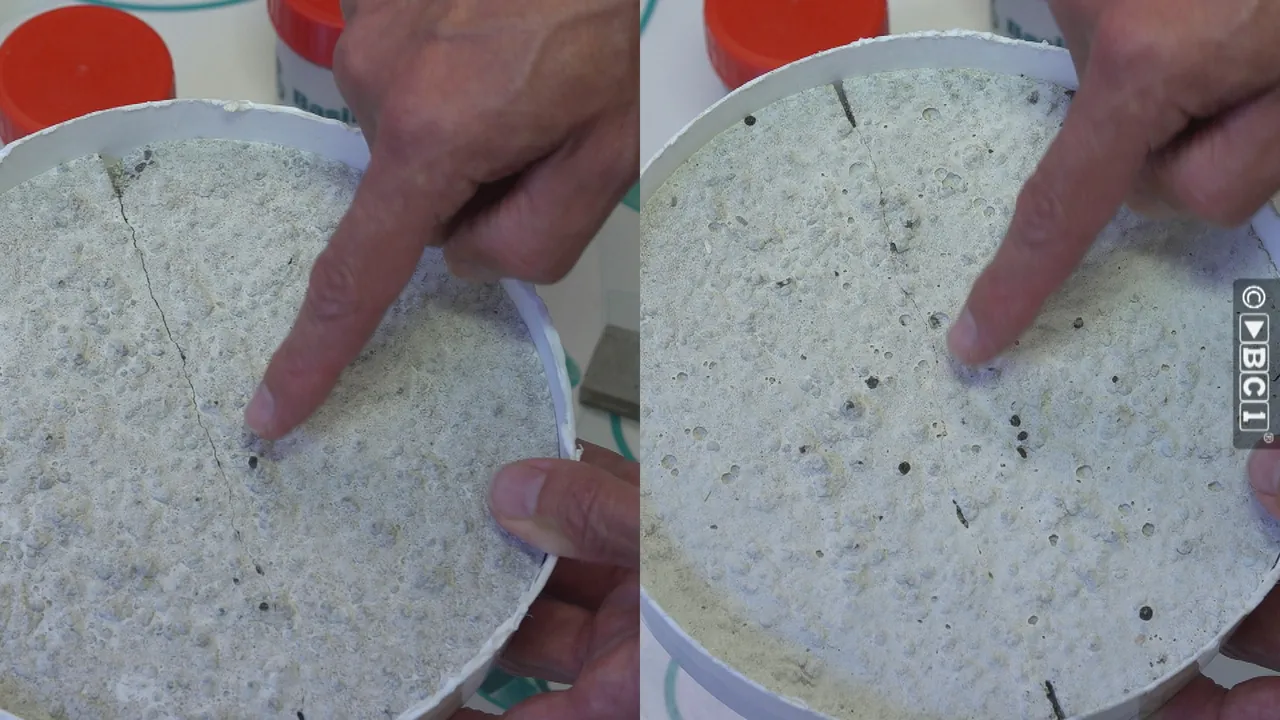 Zelfherstellend biologisch beton (video)