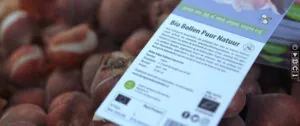Bio bloembollen van Huiberts biologische bloembollen.
