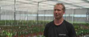 Alex van Haaster van Kapiteyn Horticulture